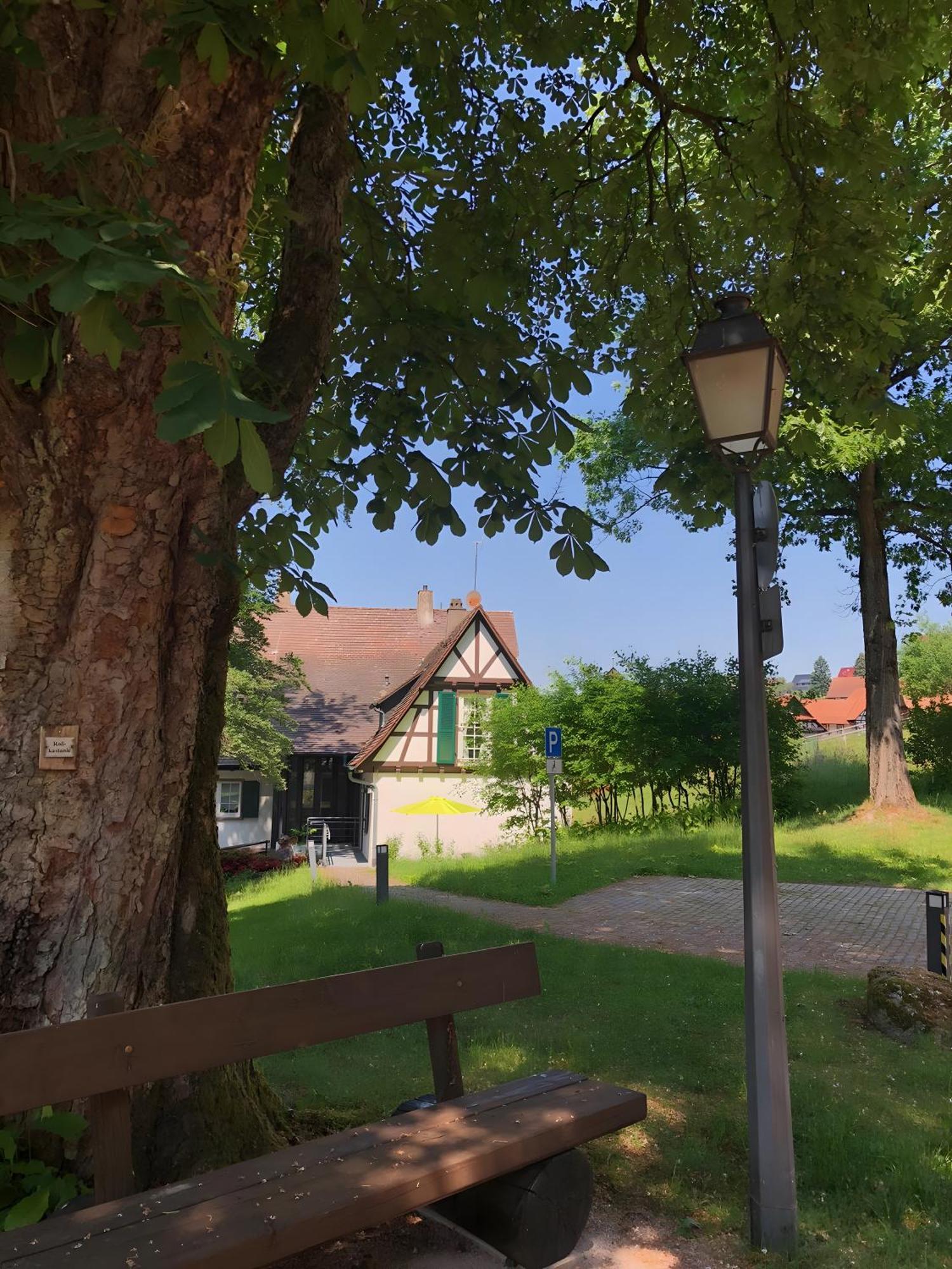 Ferienwohnung Am Keschtebaum, 70Qm Sasbachwalden Dış mekan fotoğraf