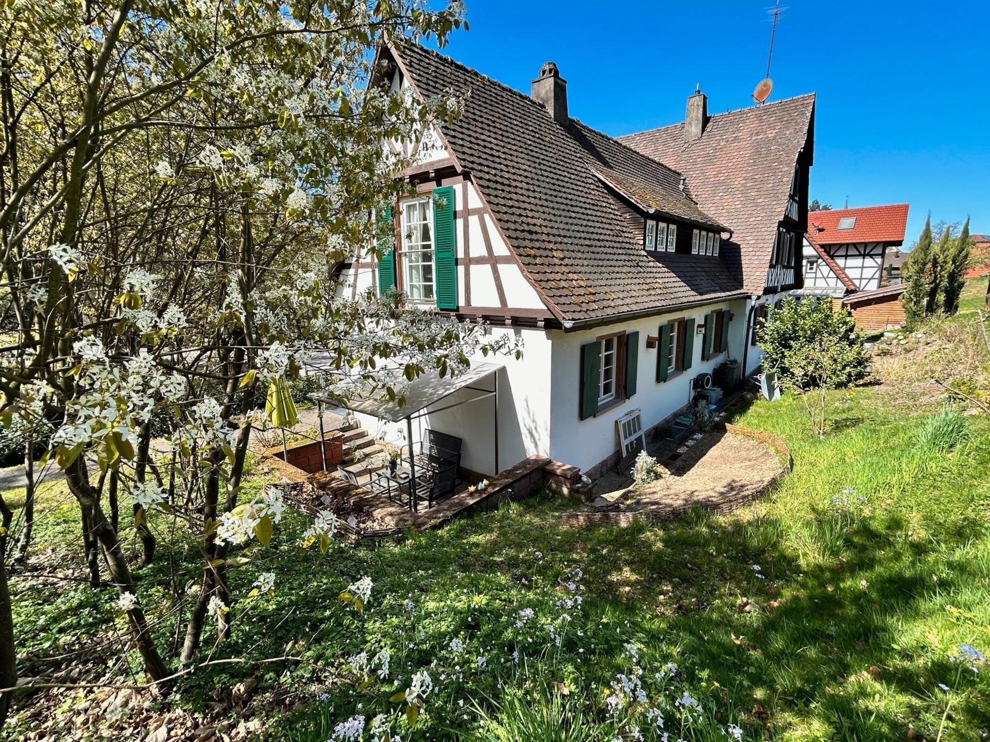 Ferienwohnung Am Keschtebaum, 70Qm Sasbachwalden Dış mekan fotoğraf